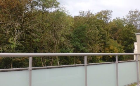 location-appartement-f3-besancon-montboucons