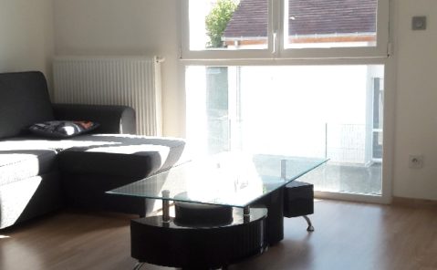 GUY-13-location-appartement-f1-meuble-auxons
