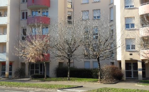 LOCATION STUDIO BESANCON RUE XAVIER MARMIER (réf CRE8589)