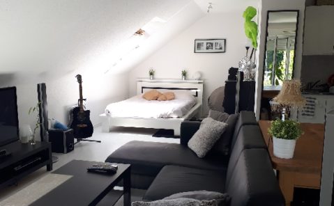 DEC 115-location-appartement-T1-ecole valentin