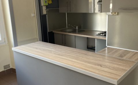 LOCATION F4 DOLE AVEC PETIT JARDIN (vue sur le canal)