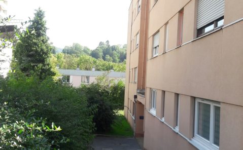 LOCATION APPARTEMENT T1 BIS BESANCON RUE DE BELFORT (réf SIN 8966)