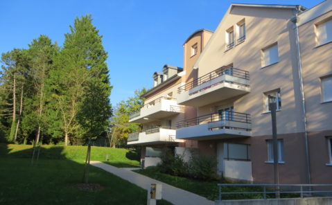 GUY 8682 LOCATION-APPARTEMENT-T3-MISEREY-SALINES
