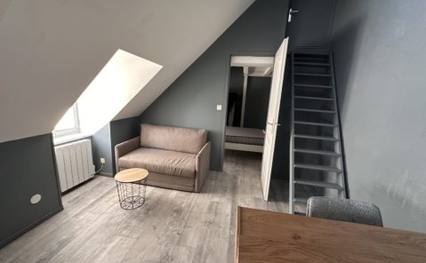 LOCATION F1 MEUBLÉ DOLE