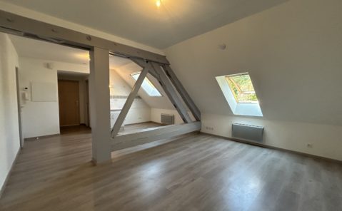 Location F3 LONS LE SAUNIER