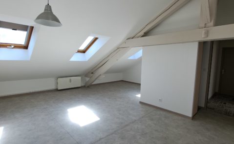 Location F1 bis rénové LONS LE SAUNIER