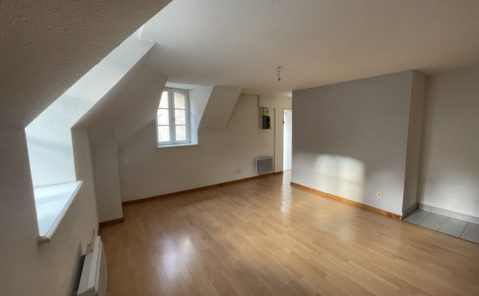 LOCATION F2 CENTRE-VILLE DOLE