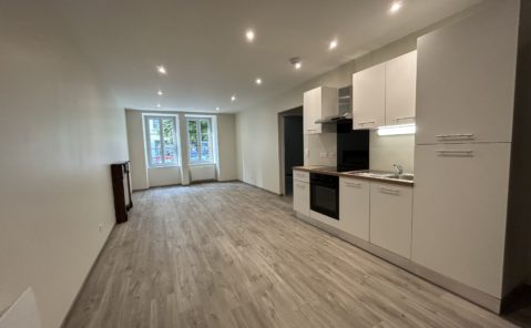 Location F3 rénové LONS LE SAUNIER