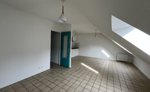 Location F3 SELLIERES