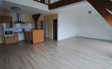 Location F5 Duplex LONS LE SAUNIER