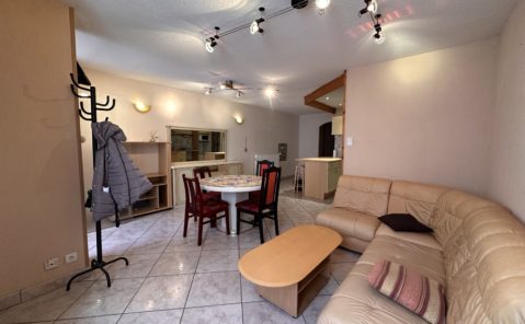 LOCATION F3 MEUBLÉ DOLE