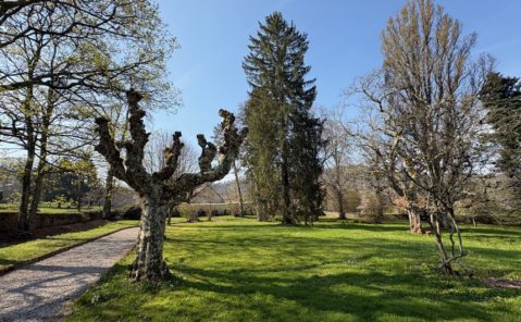 Location Maison F2 Meublée MACORNAY