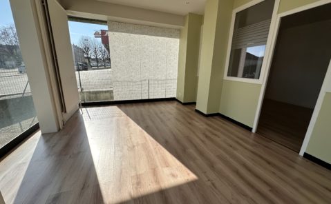 LOCATION LOCAL COMMERCIAL DOLE