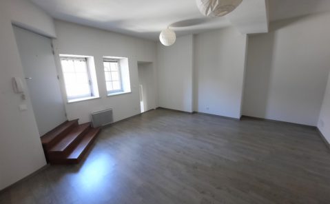 LOCATION F3 DOLE CENTRE-VILLE