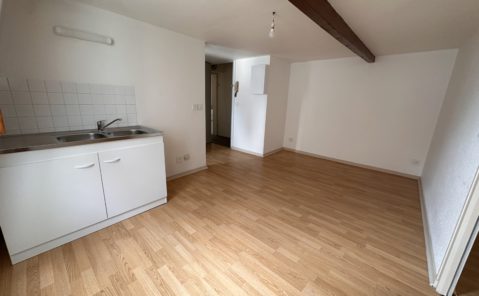 LOCATION T1 CENTRE-VILLE DOLE