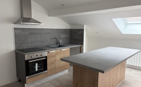 location T3 rénové SAINT-CLAUDE